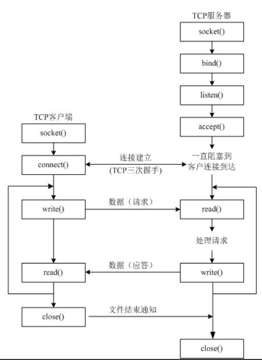clientServerPythonTCP